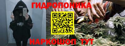 соль ск Дубна