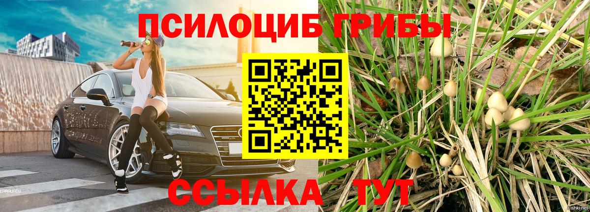 Лосино-Петровский  Галлюциногенные грибы GOLDEN TEACHER  Галлюциногенные грибы прущие грибы  Вход с VPN 