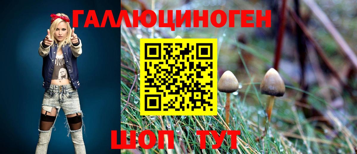 Псилоцибиновые грибы прущие грибы Лосино-Петровский
